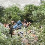 पंडोह के पास गोभी लेकर पंजाब जा रही जीप व्यास नदी में गिरी, चालक लापता