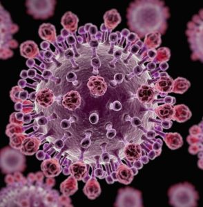 स्वाइन फ्लू H1N1 को लेकर स्वास्थ्य विभाग की एडवाइजरी जारी,मरीज की रिपोर्ट आई नेगेटिव